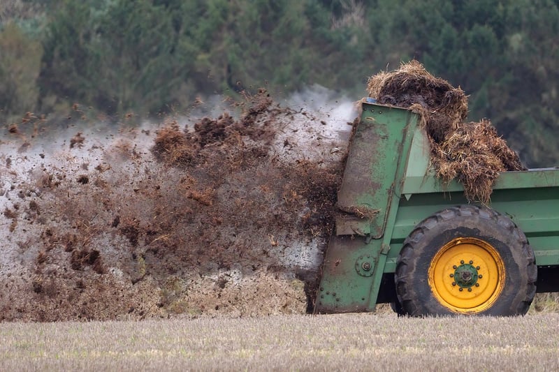 Phosphorus for Plant Growth